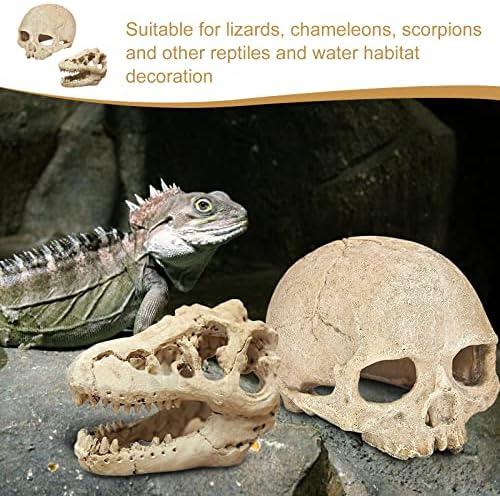 Emberi Dinoszaurusz-Koponya Búvóhelyek Hüllők: T-Rex Koponya, Hüllő, Dekoráció, Akvárium Rejtekhely Emberi Koponya, Dekoráció