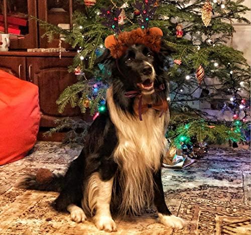 Rénszarvas Jelmez Kutyák számára,Karácsonyi Kutya Rénszarvas Agancs Fejpánt Farok Pet csokornyakkendő Gallér