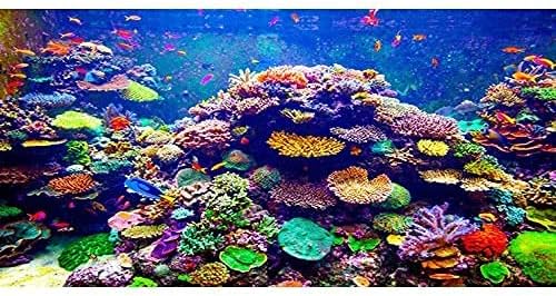 AWERT Alatti Téma Akvárium Háttér 36x24 cm Tartós Poliészter Háttér Színes Korall Trópusi Halak Víz alatti Világ akvárium