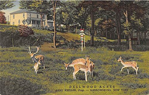 Dellwood Hektár, Arno Kreller, Kellék Narrowsburg, New York, Képeslap