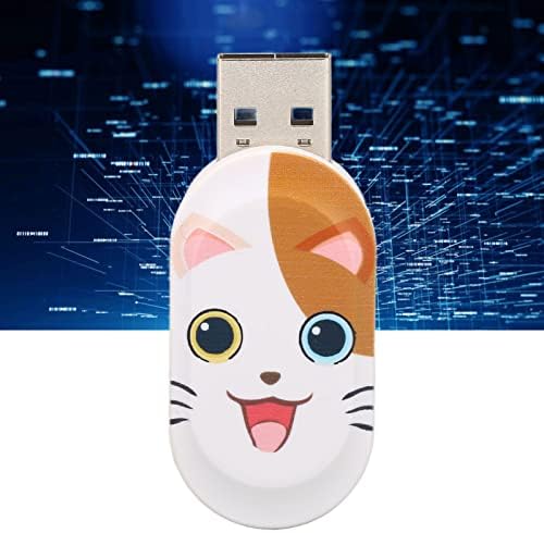 Rajzfilm USB 2.0 Flash Drive, Aranyos Macska Minta, USB Plug and Play Hordozható U Lemez Számítógép Tartozékok, USB Memory