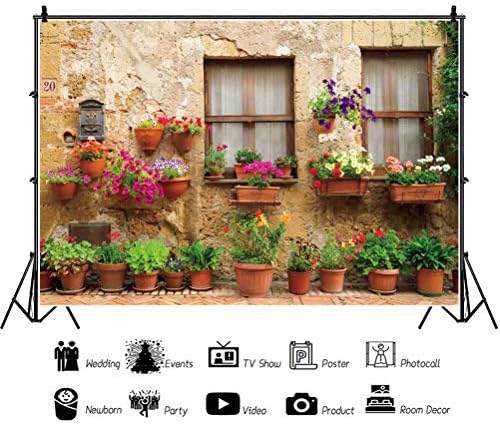 shensu Vinil 5x3ft Fotó Háttér olasz Pásztori Város Ablak Utcán, Cserepes Növények, Virágok Fotózás Hátterekkel Újszülött
