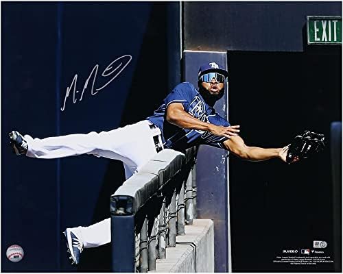 Manuel Margot Tampa Bay Rays Dedikált 16 x 20 Korlát Fogás Fénykép - Dedikált MLB Fotók