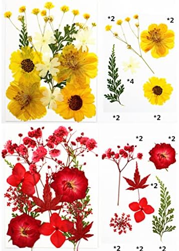 Igazi Természetes, Szárított Virágok Gyanta Penész,Szárított, Préselt Virágot Kézműves Scrapbooking Kellékek Kártya Készítés