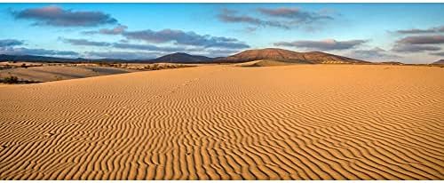 AWERT 24x16 cm a Nap, mind a Sivatagi Terrárium Háttér a Kék Eget Sivatagi Hüllő Élőhely Háttér Vinil
