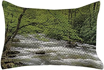 Ambesonne Appalache-Steppelt Pillowcover, Streaming Víz Creek Tavaszi Erdő, Fák, Bokrok, Standard King Size Akcentussal Párna