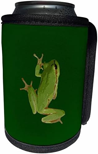 3dRose Aranyos Hegymászás Zöld levelibéka Vektor Art - Lehet Hűvösebb Üveg Wrap (cc_357264_1)