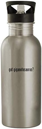 Akar beszélni velem Ajándékok van giganotosaurus? - 20oz Rozsdamentes Acél Kerti Víz Üveg, Ezüst