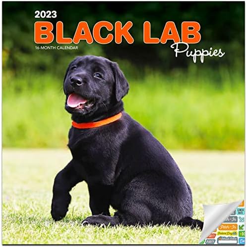 Fekete labrador Kiskutyák Naptári 2023 -- Deluxe 2023 Fekete labrador Kiskutyák falinaptár Csomag Több mint 100 Naptár Matrica