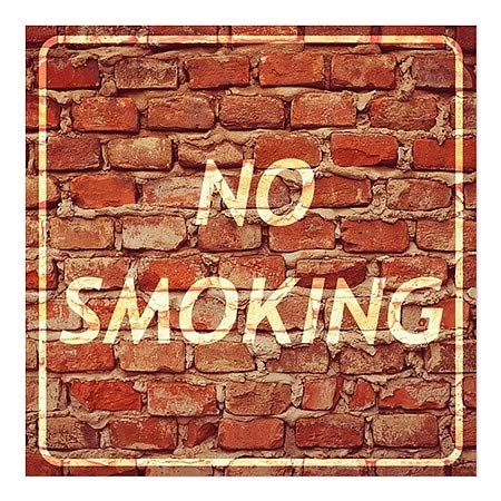 CGSignLab | Nem Dohányzó -Szellem Éves Tégla Ablak Ragaszkodnak | 12x12