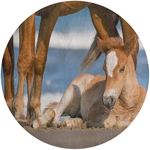 ERUXUGB Legaranyosabb Baba Állatok | Újszülött Corolla Vad Ló Korall Bársony szőnyeg (Kerek)（60×60cm